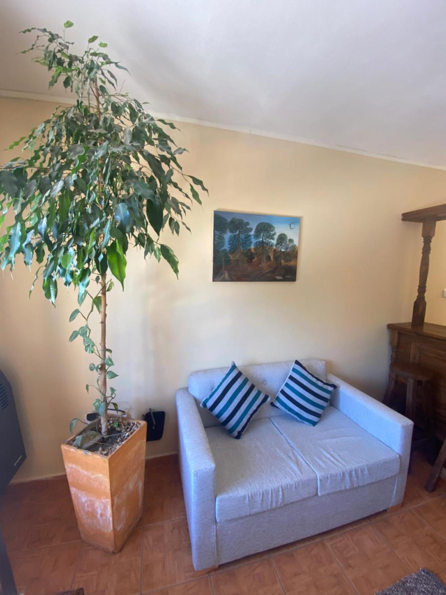 Mistico Apartment Villa Pehuenia
